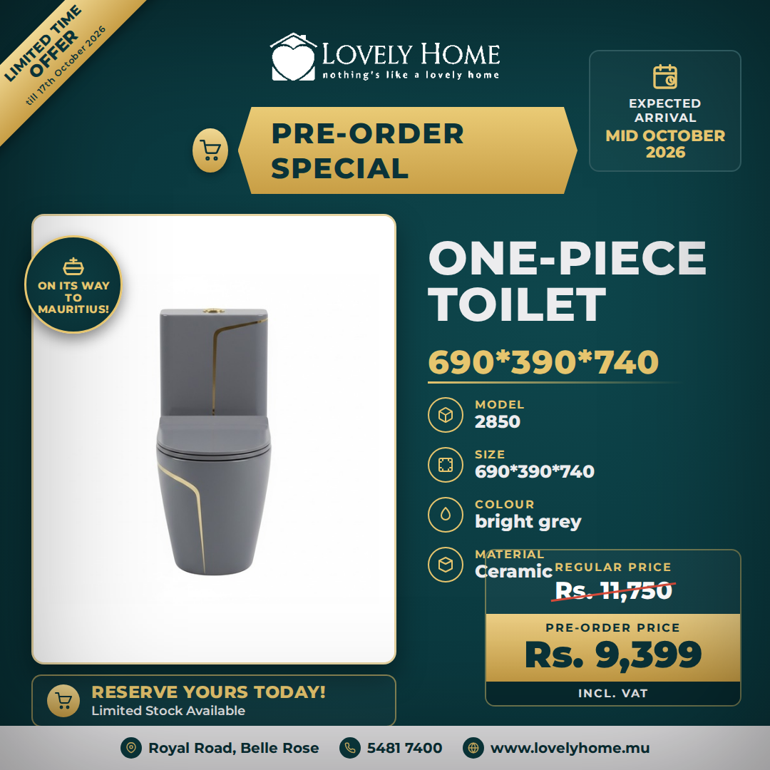 2850 Bright Grey and Gold One-Piece Toilet