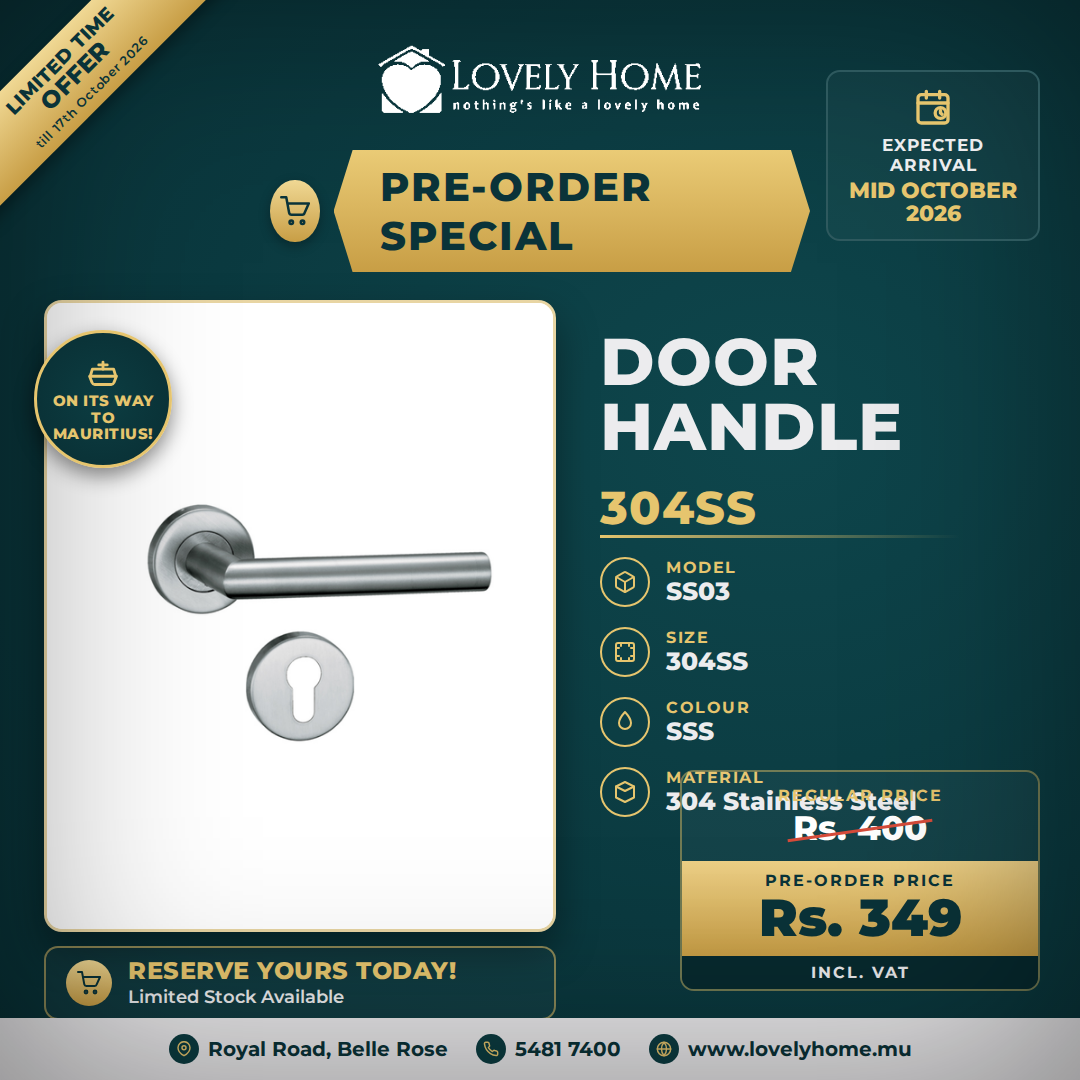 SS03 304SS Door Handle