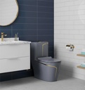  2850- Bright Grey and Gold One-Piece Toilet 