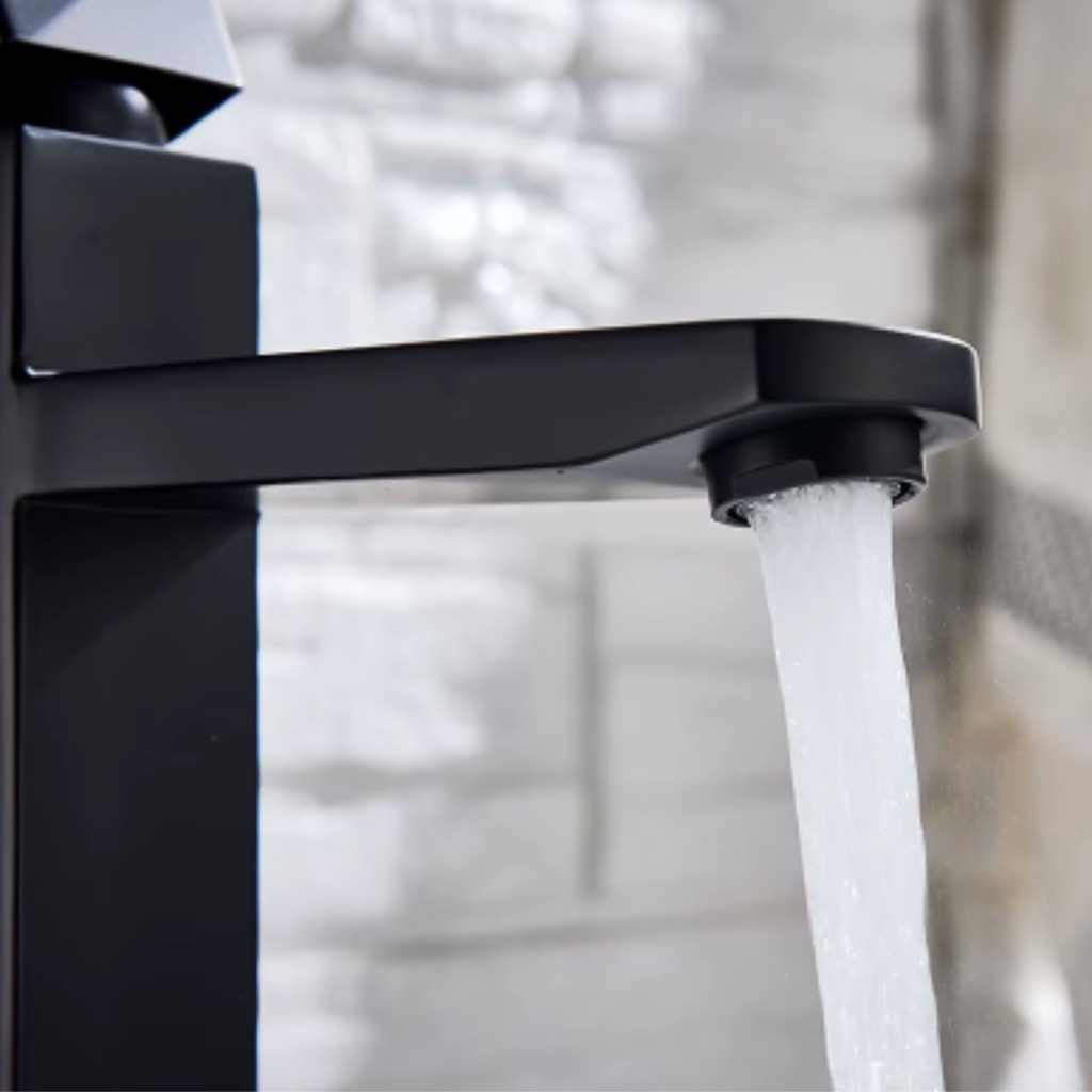 8025_(Black) Mixer Tap_(Black)