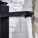 8025_(Black) Mixer Tap_(Black)