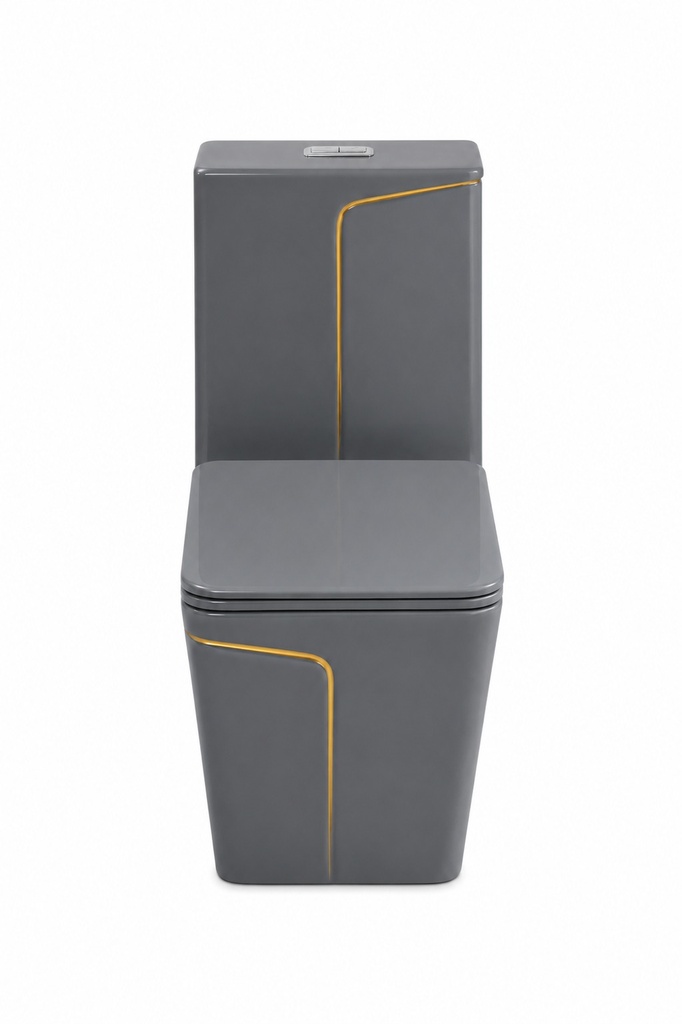  2950- Grey and Gold One-Piece Toilet 