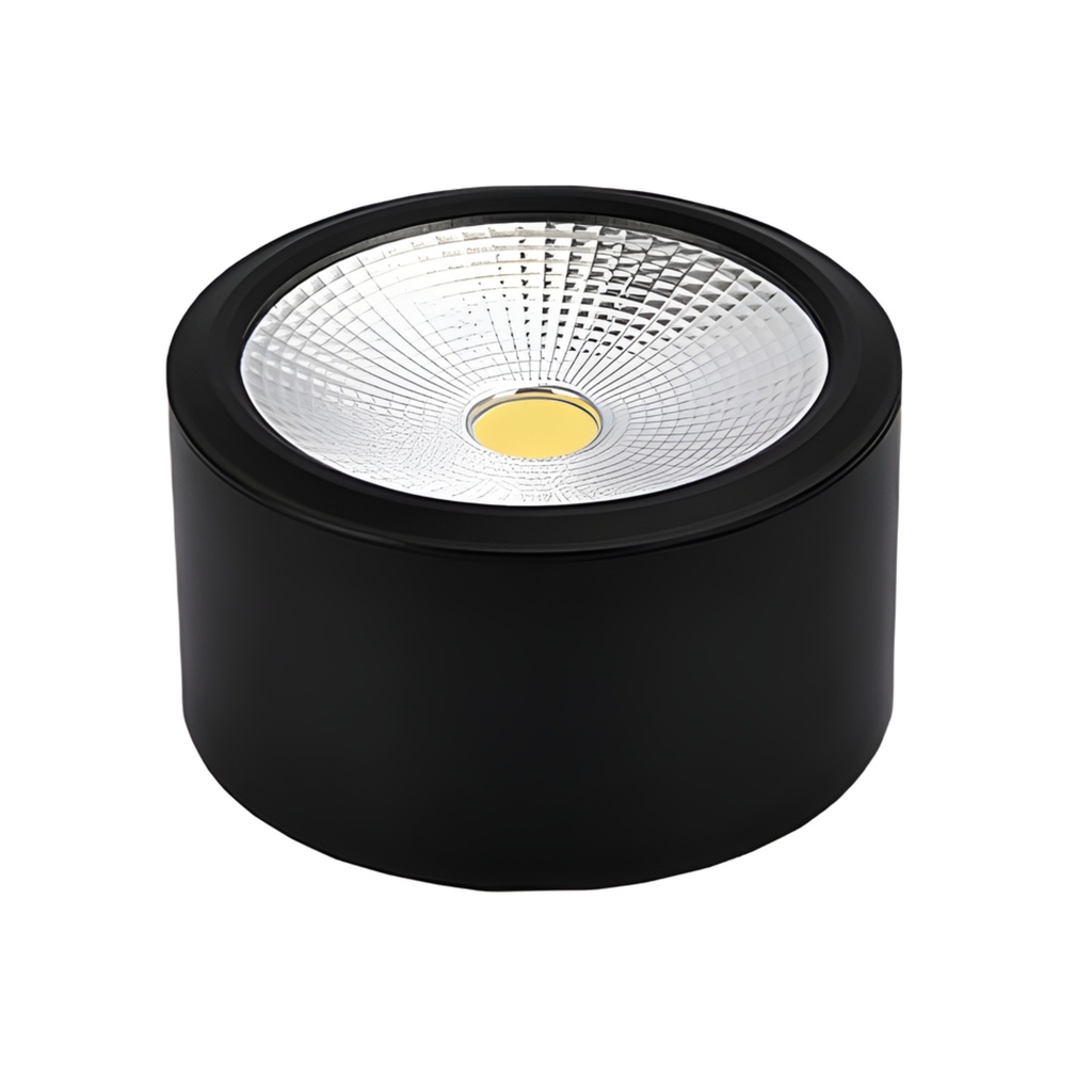 HL20 BL-10W) Black Ceiling Spot Light 4000K
