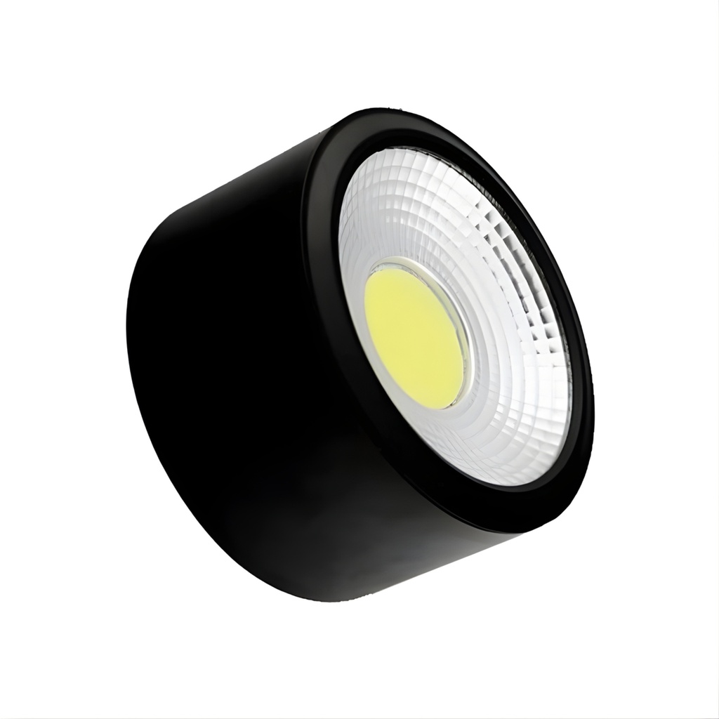 HL20 BL-10W) Black Ceiling Spot Light 4000K