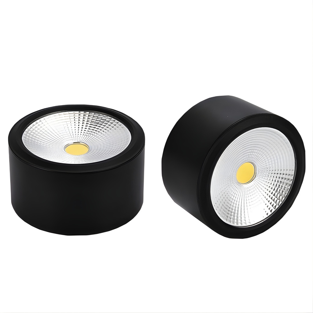 HL20 BL-10W) Black Ceiling Spot Light 4000K