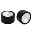 HL20 BL-10W) Black Ceiling Spot Light 4000K