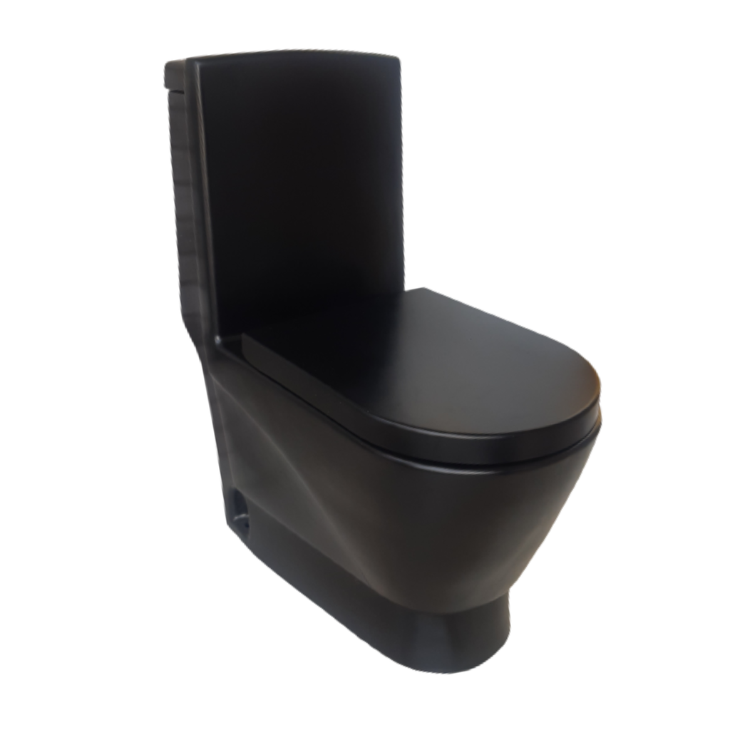 BL9009 Black One Piece Toilet