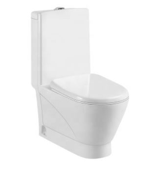 W9009 White One Piece Toilet