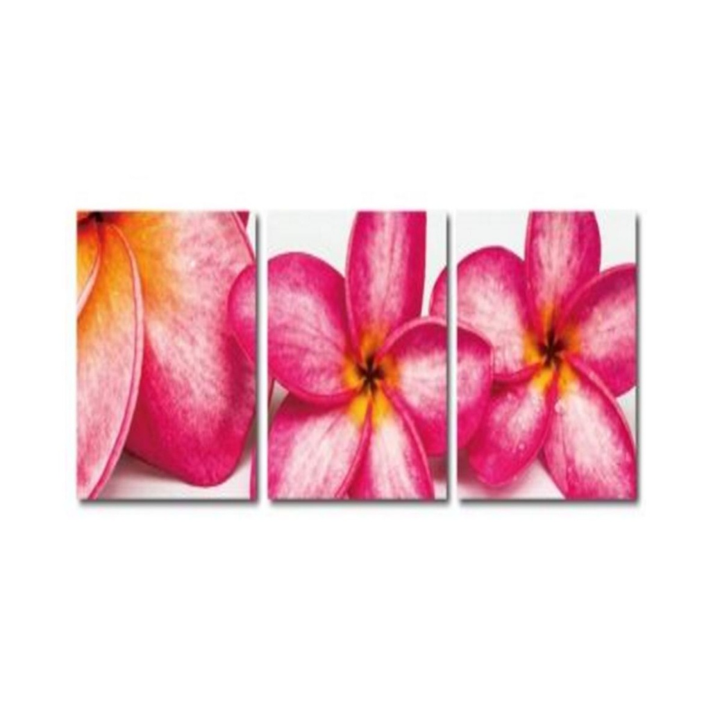 AF1404ABC(40*40) Canvas Painting