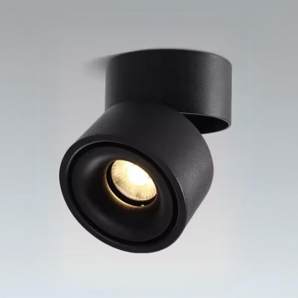 HL01-12W_(Black)  Ceiling Spot Light