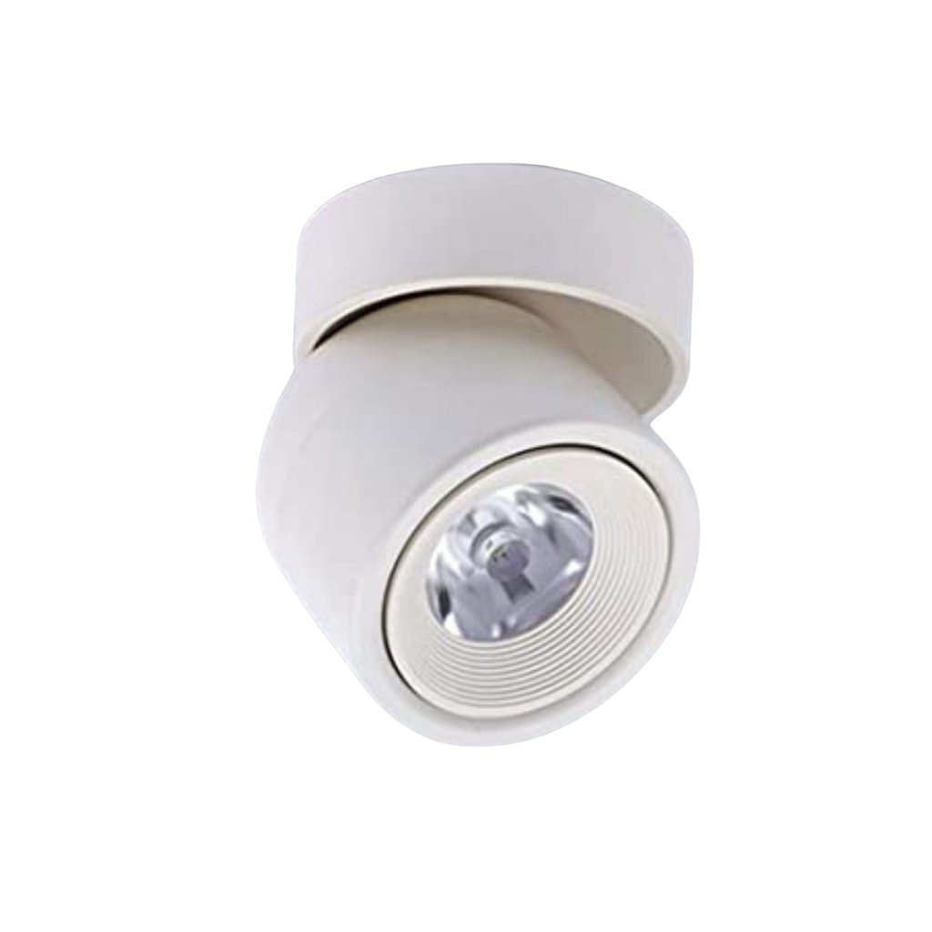 HL06-12W_(White)  Ceiling Spot Light_(White)