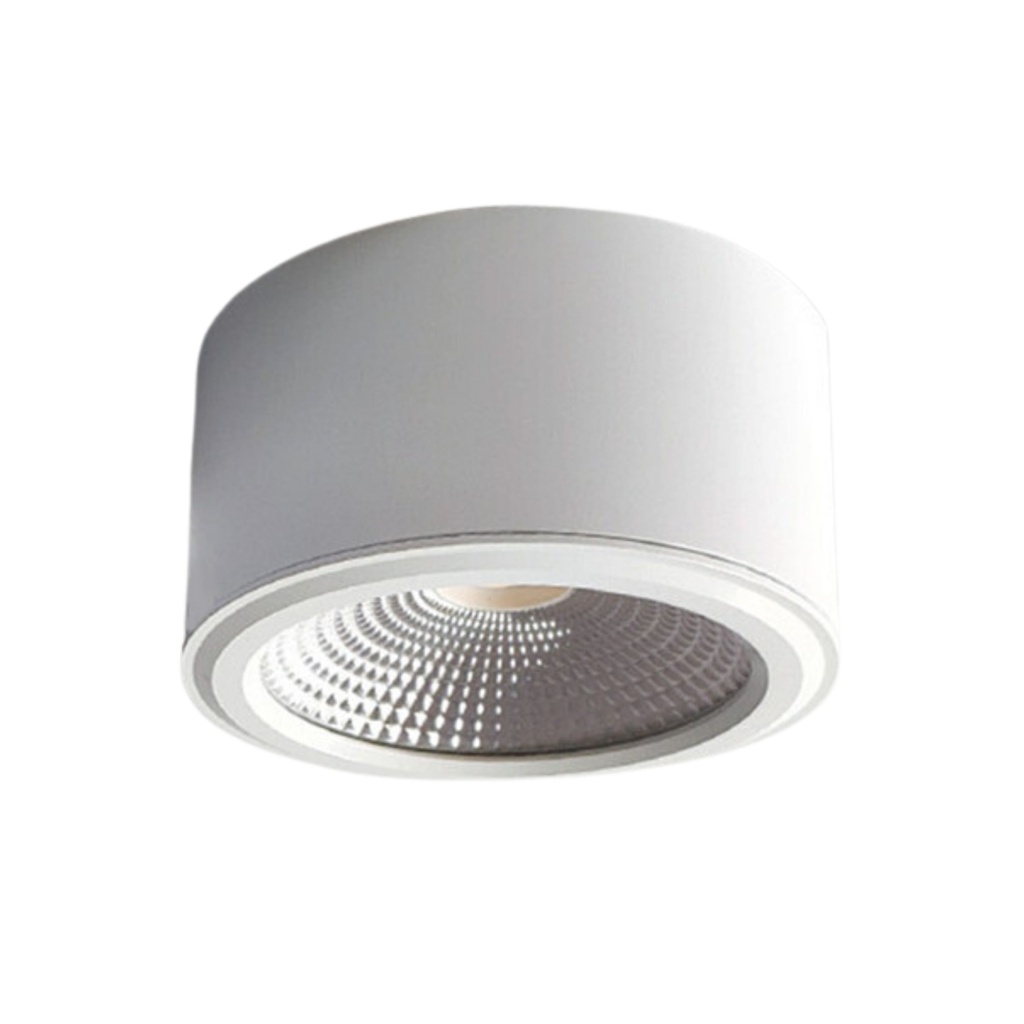 MZ-03-10 4000K (HL10-10W) White Ceiling Spot Light