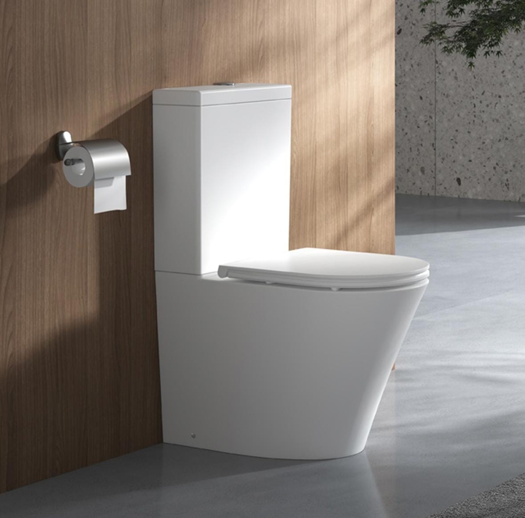 PT01 P Trap Toilet