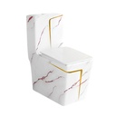 2855 - White and Gold Toilet