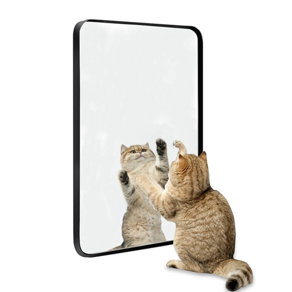 JH-MP0023 Narrow Edge Rectangular Mirror