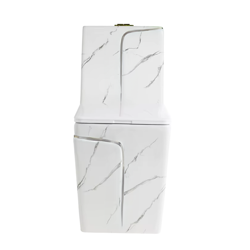 S2855 - White and Silver One-Piece Toilet