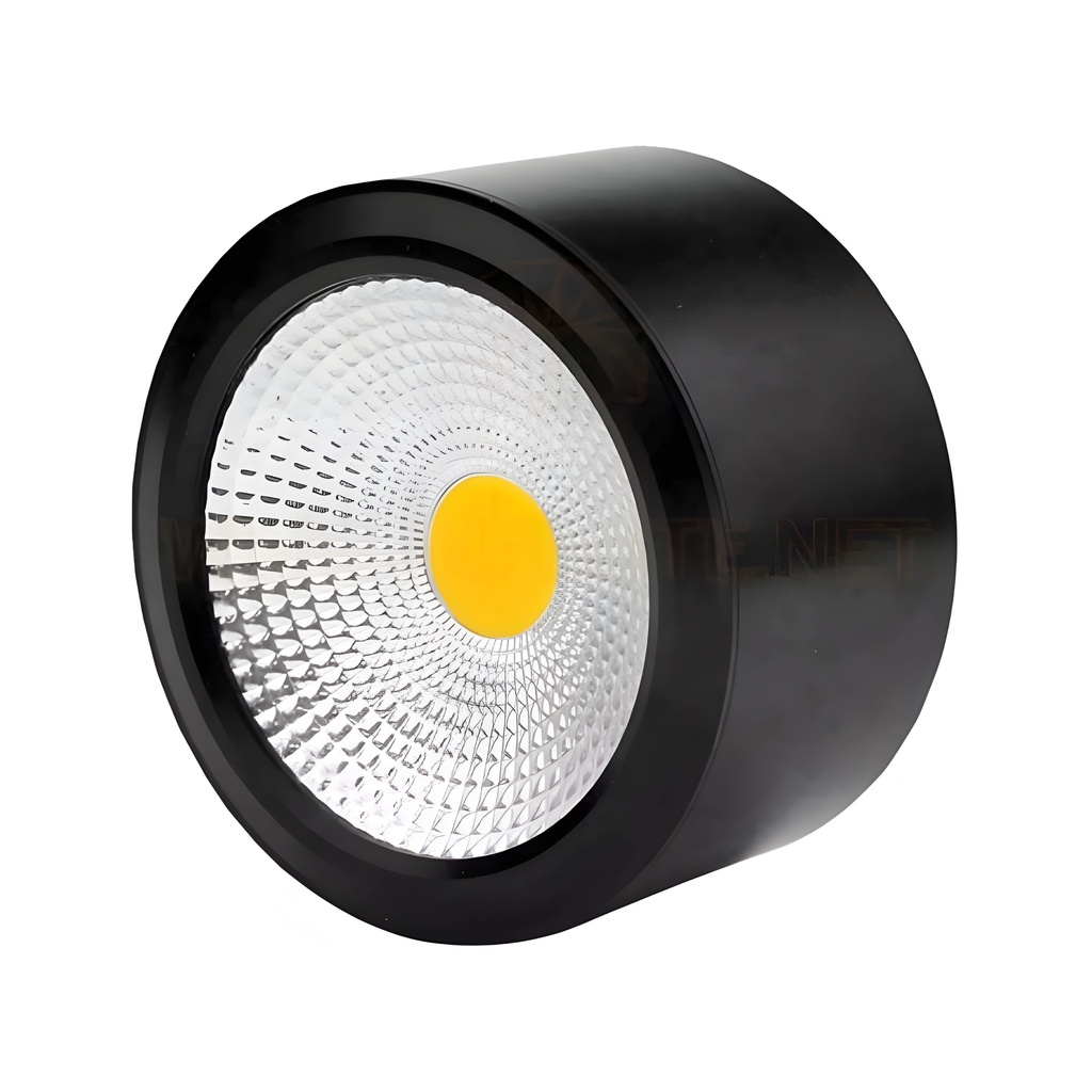 HL20 BL-10W) Black Ceiling Spot Light 4000K