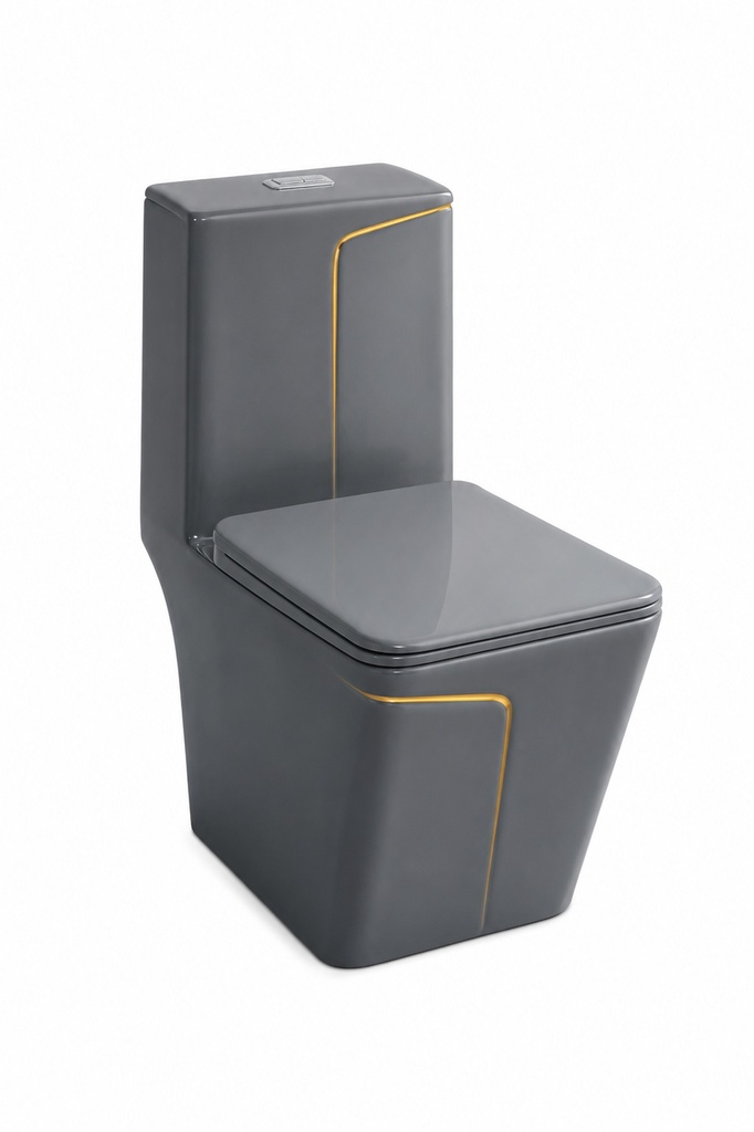  2950- Grey and Gold One-Piece Toilet 
