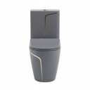  2850- Bright Grey and Gold One-Piece Toilet 