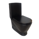 BL9009 Black One Piece Toilet