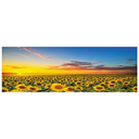 FA-19034ABC (50*150) Glass Painting