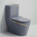  2850- Bright Grey and Gold One-Piece Toilet 